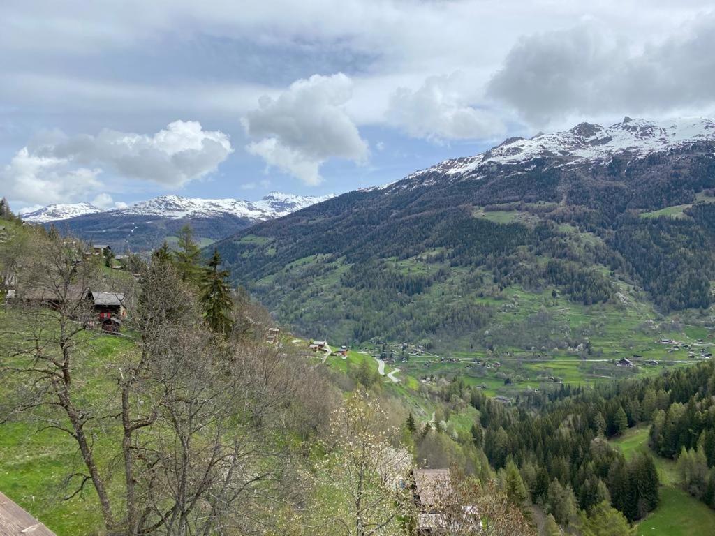 Residence Platane B Grimentz Buitenkant foto
